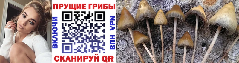 Галлюциногенные грибы Magic Shrooms  Купить закладки  Белоусово 